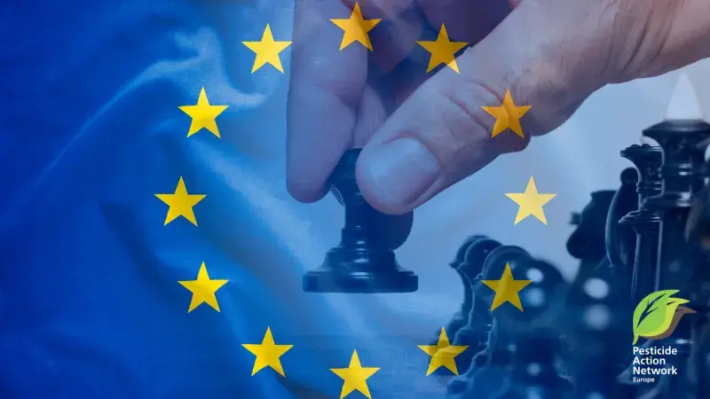 Pesticide Action Network raises alarm over 49 pesticides facing unlimited approval in EU ‘omnibus’ proposal