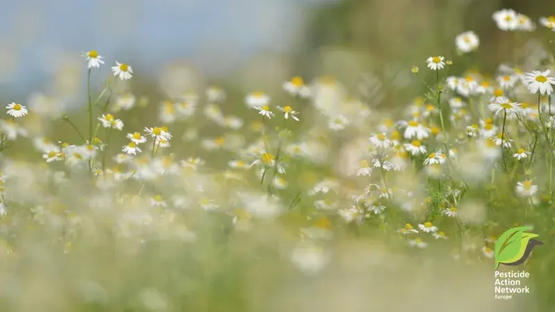 Pesticide Action Week 2026: for a pesticide free future