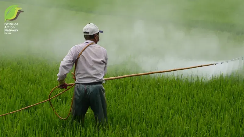 Ending Europe’s toxic pesticide exports: voices from South Africa brought to Brussels