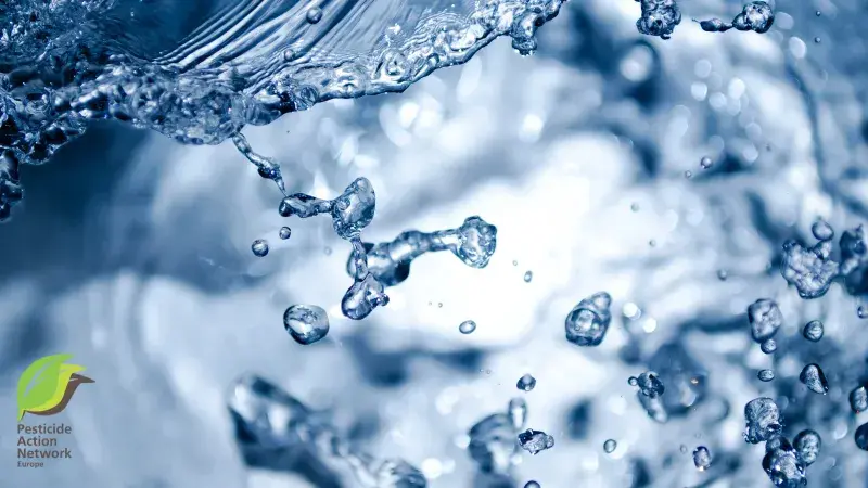 What is the future for European Waters?