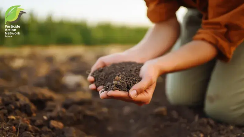 Let’s celebrate World Soil Day: Protect soils against pesticides!