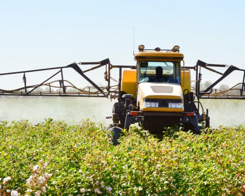 Pesticides: Play it safe!