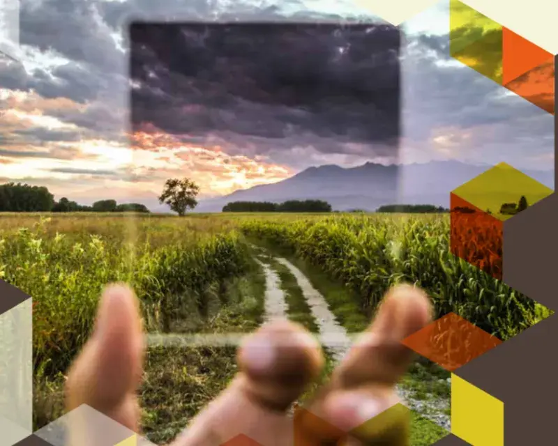 Impact assessment of the criteria for endocrine disrupting pesticides