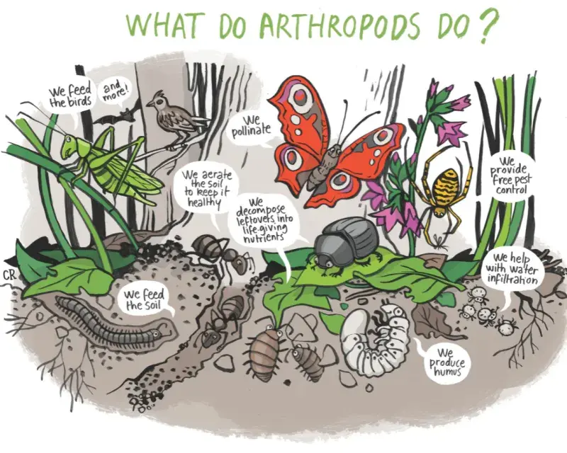 Licence to Kill - an EU guideline with far-reaching consequences