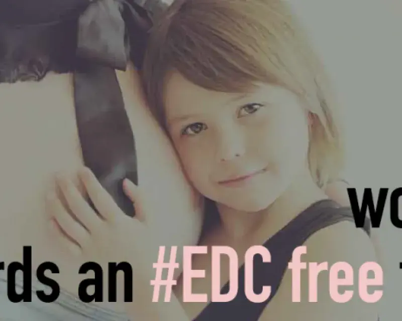 EU's Efforts to regulate Endocrine Disruptors (EDCs)