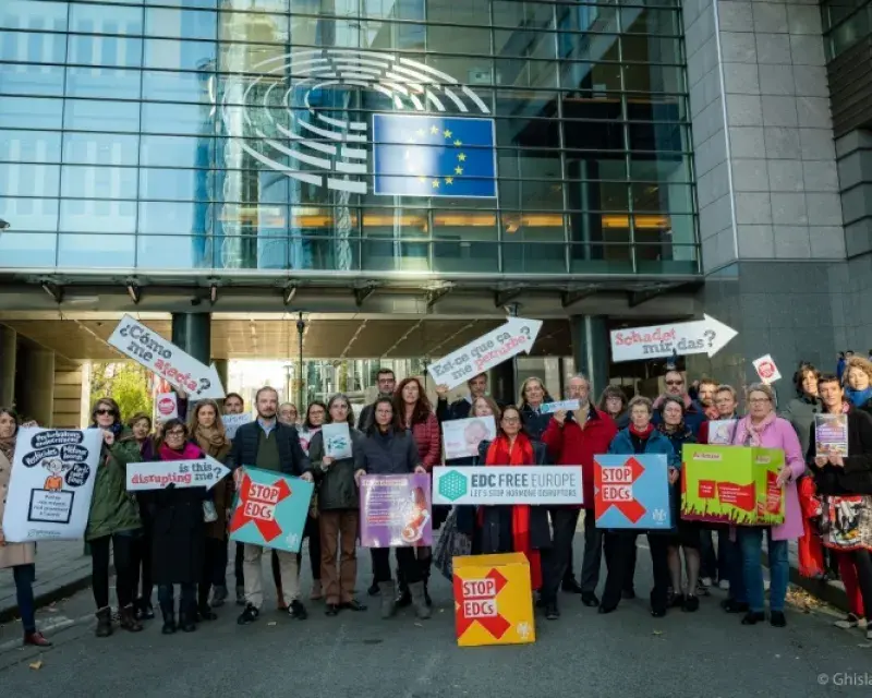 NGOs call on EU regulators to protect Europeans from endocrine disruptors
