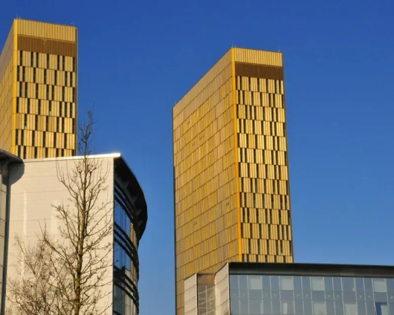 PAN Europe takes the issue of pesticide derogations to the Court of Justice of the European Union