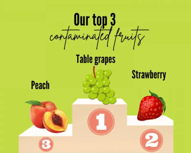 Fruits of the Summer