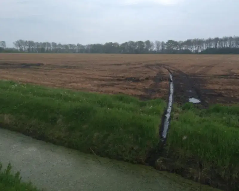 Glyphosate and Water