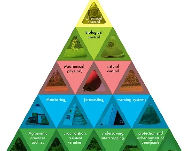 Reflections on 6 Symposia on the Sustainable Use of Pesticides Directive (SUD)