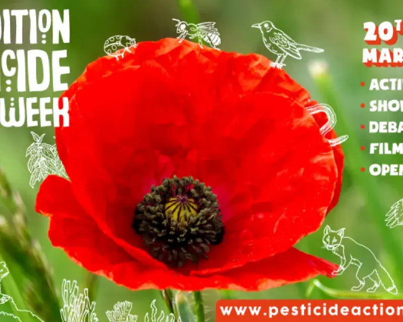 Pesticide Action Week 2019- together for a pesticide free future!
