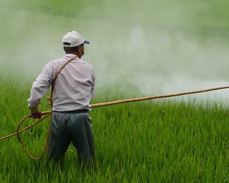 Pesticides Spry