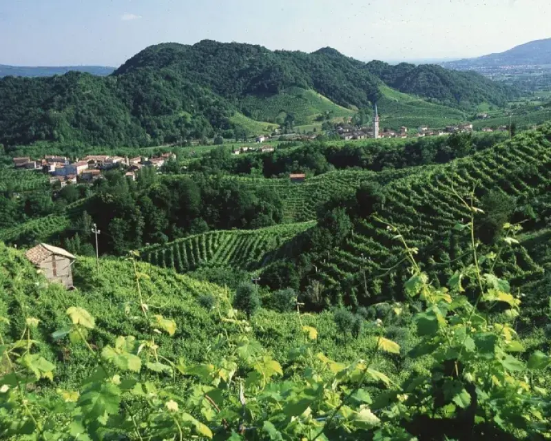 Alberto Davide Lorenzi, Prosecco Valley (CC)