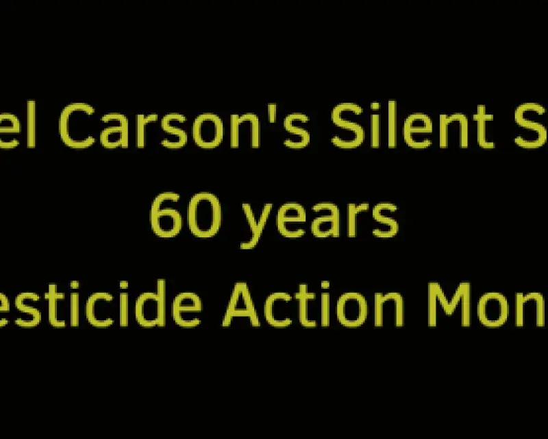 Rachel Carsons Silent Spring