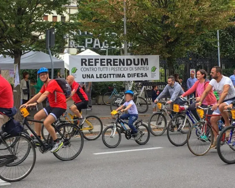 Prosecco: A story of not a sparkling wine, but a local resistance against pesticides