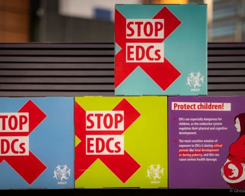 Why are our EU regulators so reluctant to protect us from hormone disruptors?