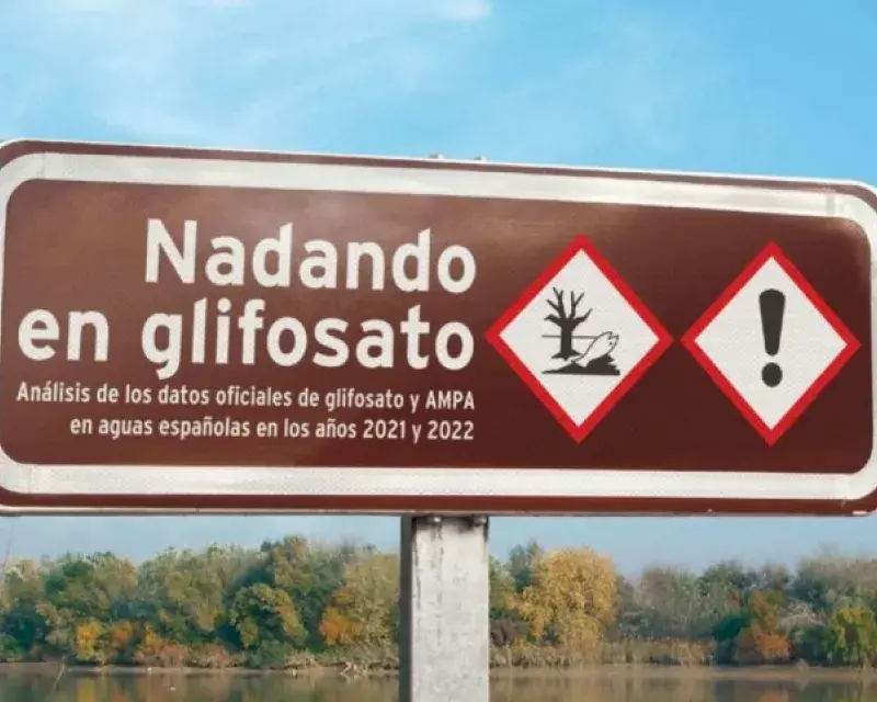 Swimming in Glyphosate