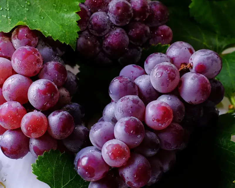 Grapes