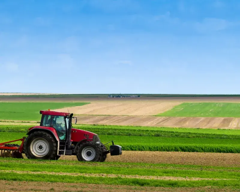 Belgium, the kingdom of pesticides
