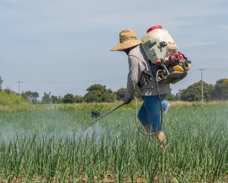 Double standard, double risk