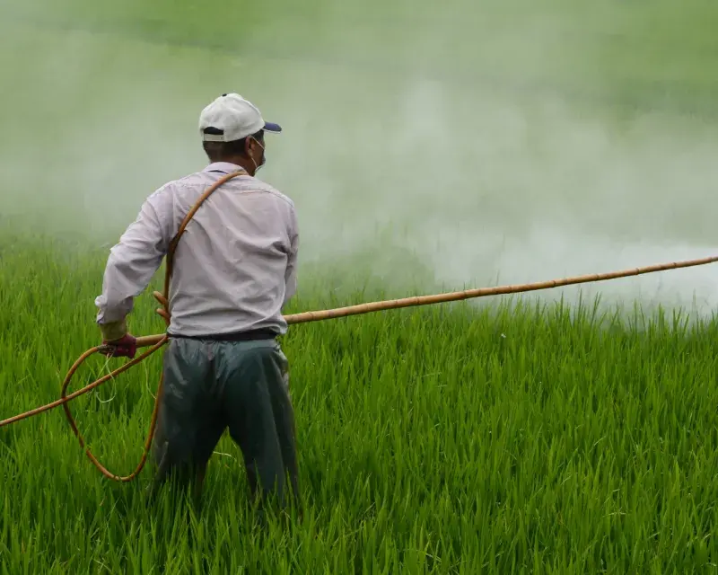 Banned and Hazardous Pesticides in European Food