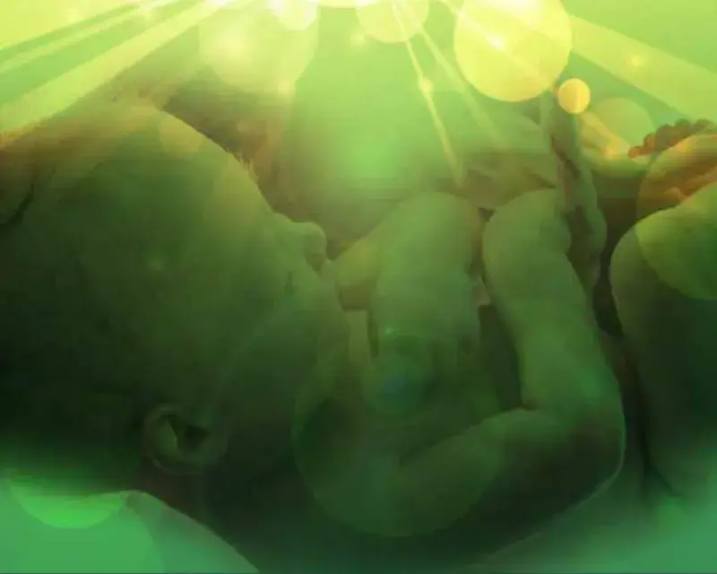 Endocrine Disrupting Chemicals and Future Generations