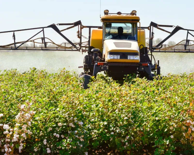 REFIT of the Pesticide (EC 1107/2009) & Maximum Residue Limits in food (EC 396/2005) Regulations: PAN Europe's observations