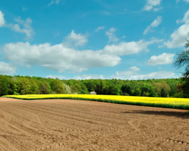 Towards Pesticide Use Reduction