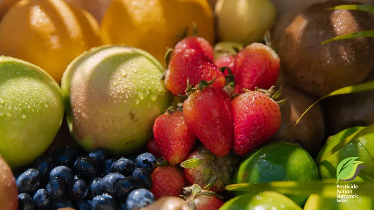 Forbidden fruit: The dramatic rise in dangerous pesticides found on fruits and vegetables sold in Europe and evidence that governments are failing their legal obligations