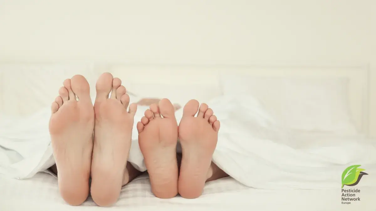 PESTICIDES IN OUR BEDROOM