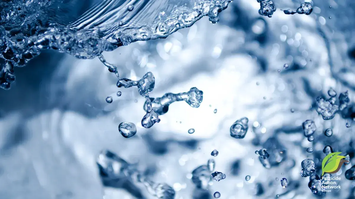 Under the Surface: A Deep Dive Into EU Water Pollution Monitoring and Management Practices