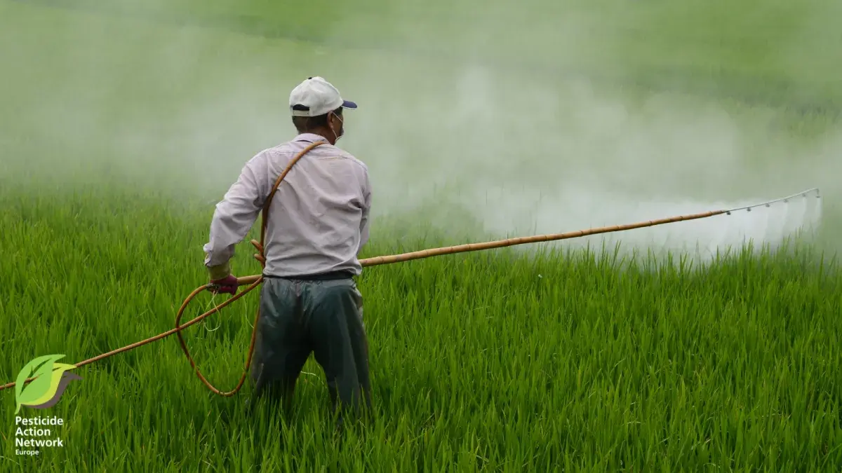 Banned and Hazardous Pesticides in European Food