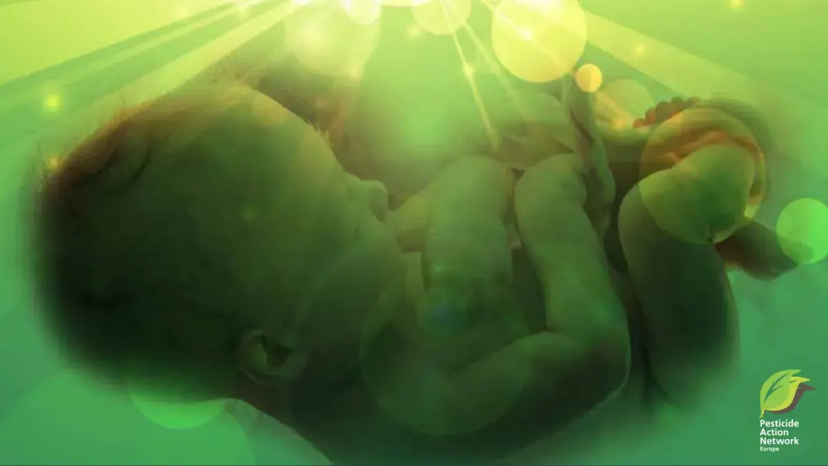 Endocrine Disrupting Chemicals and Future Generations