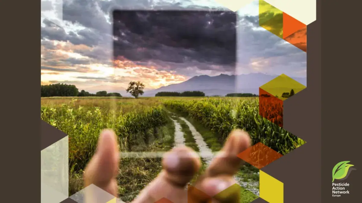 Impact assessment of the criteria for endocrine disrupting pesticides