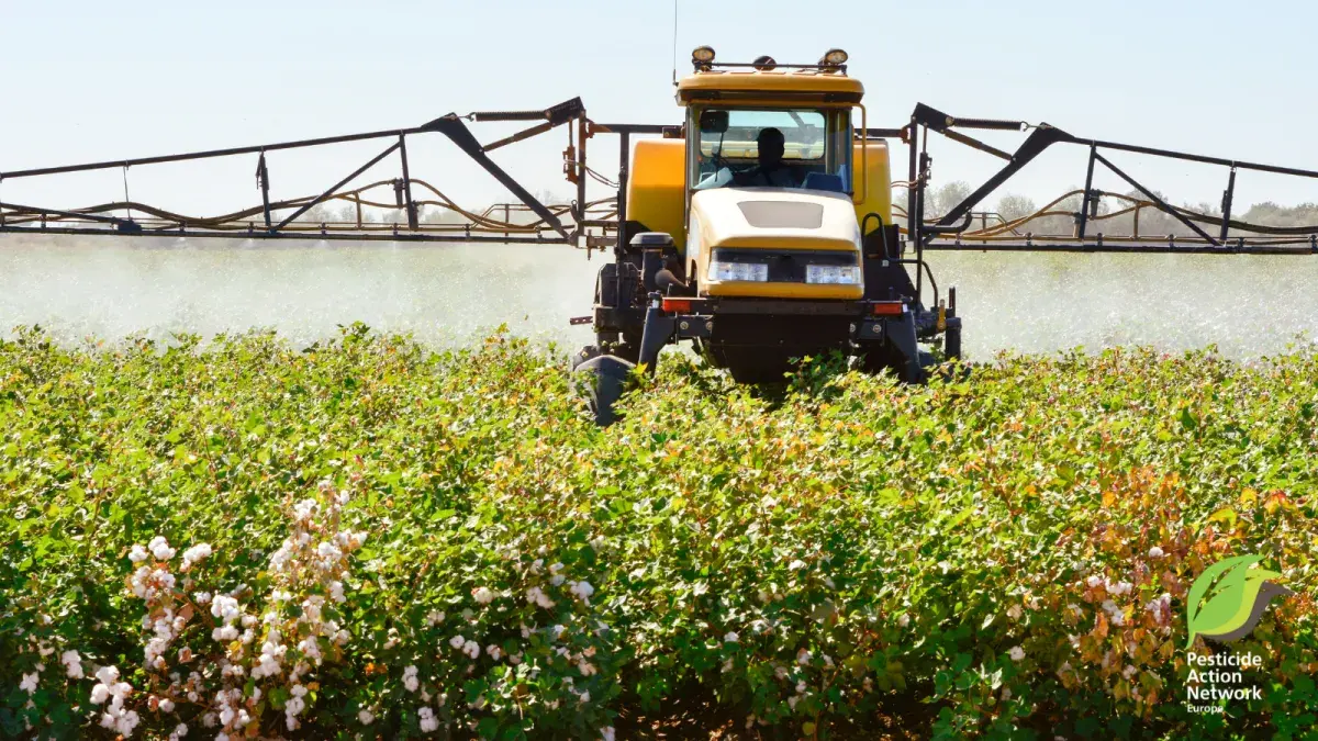 REFIT of the Pesticide (EC 1107/2009) & Maximum Residue Limits in food (EC 396/2005) Regulations: PAN Europe's observations