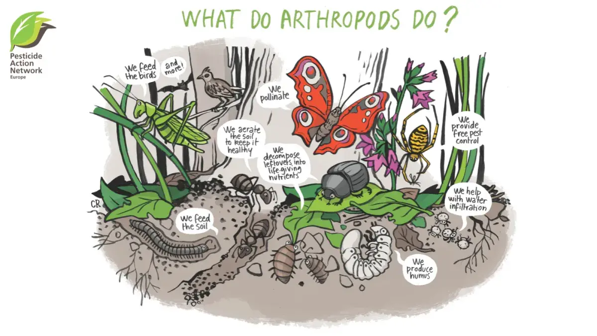 Licence to Kill - an EU guideline with far-reaching consequences