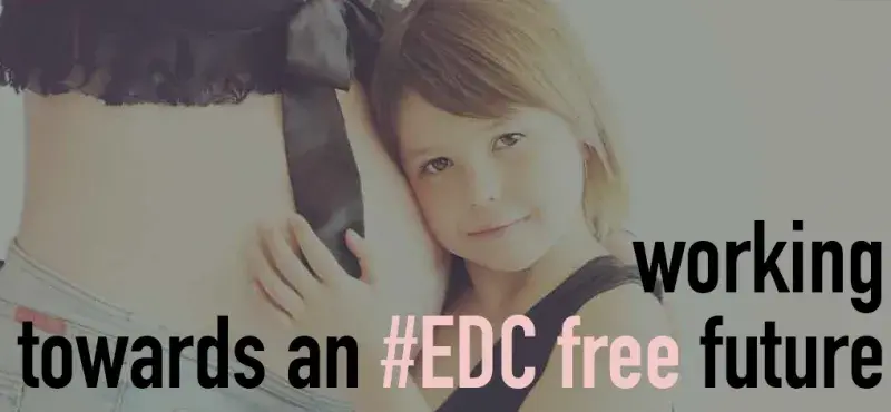 EU's Efforts to regulate Endocrine Disruptors (EDCs)