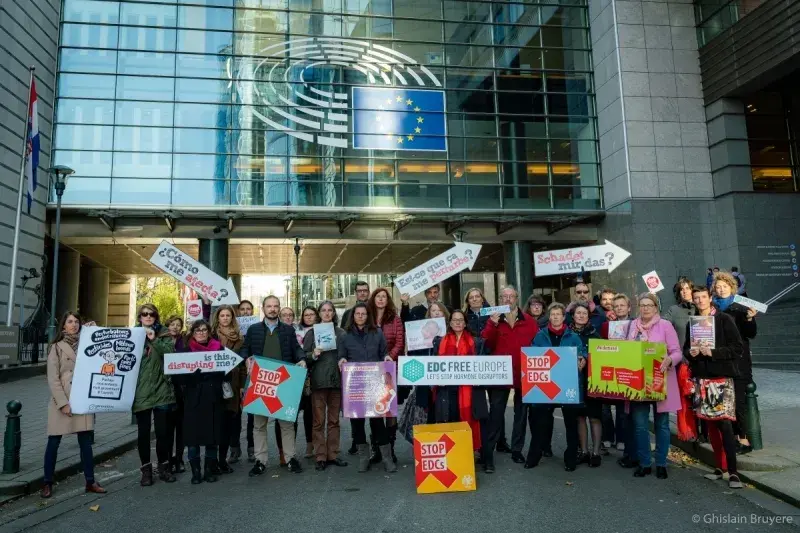 NGOs call on EU regulators to protect Europeans from endocrine disruptors