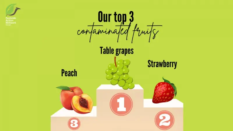 Fruits of the Summer