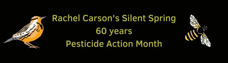 Rachel Carsons Silent Spring