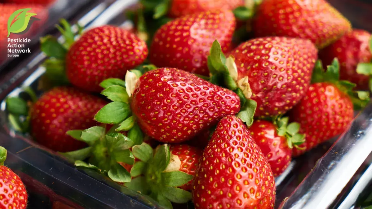 Strawberries