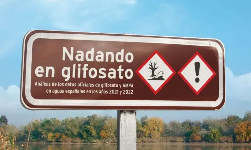 Swimming in Glyphosate