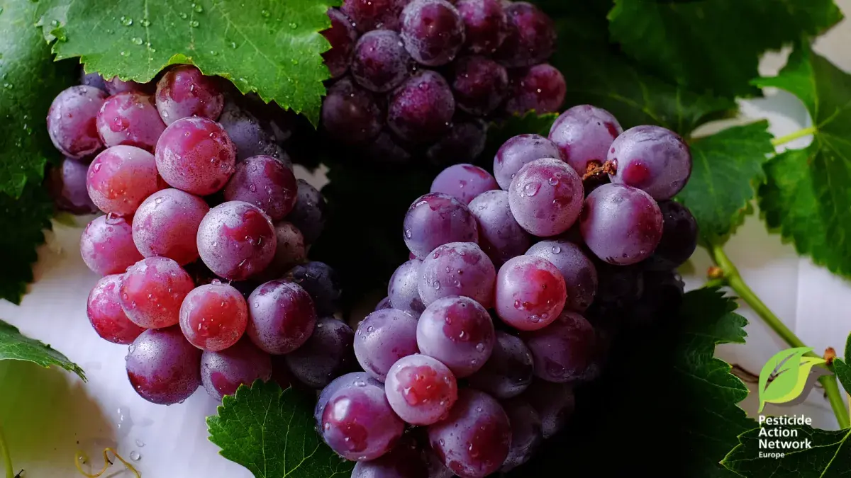 Grapes