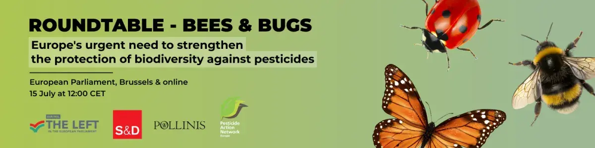 Bees and Bugs Banner