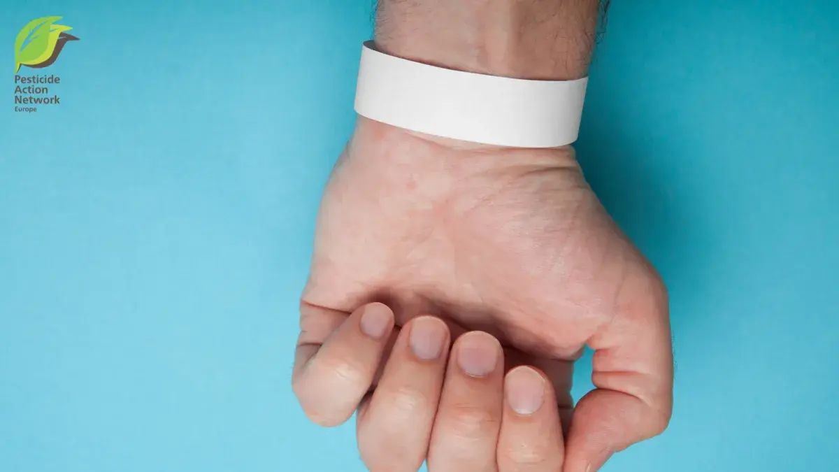 Wristband